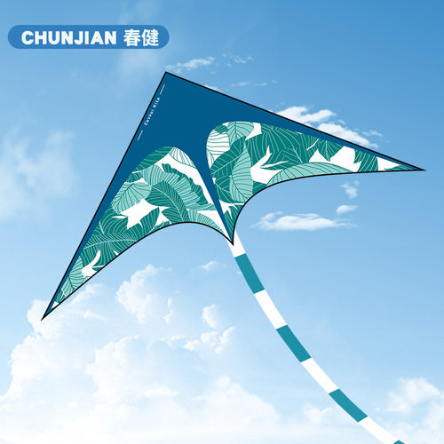 2026新款潍坊风筝大人专用高档草原涂色儿童微风易飞亲子活动大型