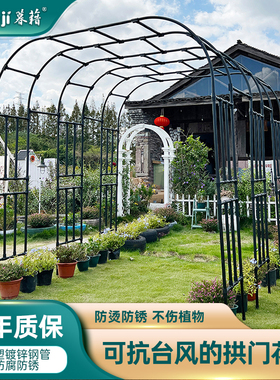 拱门花架葡萄架子庭院户外月季爬藤架镀锌包塑钢管花园拱形支架