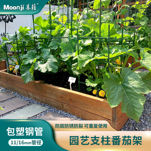 暮藉番茄蔬菜葡萄架pe包塑钢管