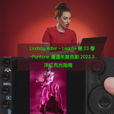 Lindsay Adler Learn第23季Pantone年度色彩2023洋红布布光指南