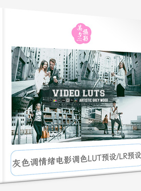 灰色调情绪电影调色LUT预设LR预设Artistic Grey Mood Preset Lut