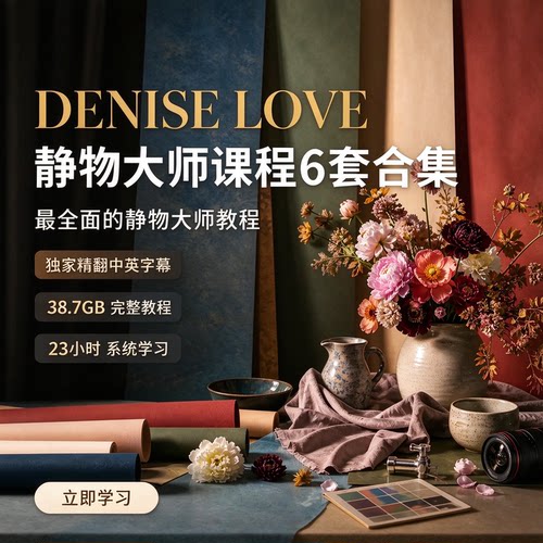 Denise Love-全面的静物大师课程6套教程合集-独家精翻中英字幕