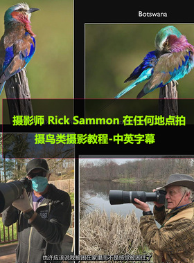 摄影师 Rick Sammon在任何地点拍摄鸟类摄影后期教程英文中英字幕