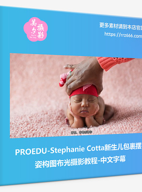 PROEDU-Stephanie Cotta新生儿包裹摆姿构图布光摄影教程中文字幕