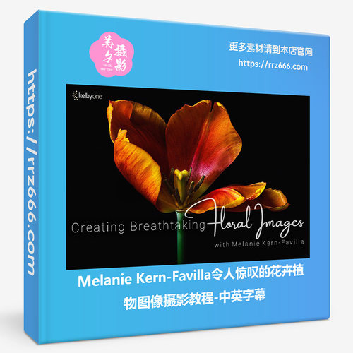 Melanie Kern-Favilla令人惊叹的花卉植物图像摄影教程-中英字幕