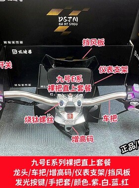 九号E系列改裸把巴迪兽底座套餐E80cE100 E125E200p/E系巴迪兽