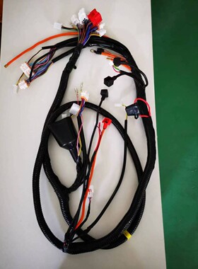 9号电动车N70C/N80C/N90C加粗整车总线束主线总成原装(可定制)