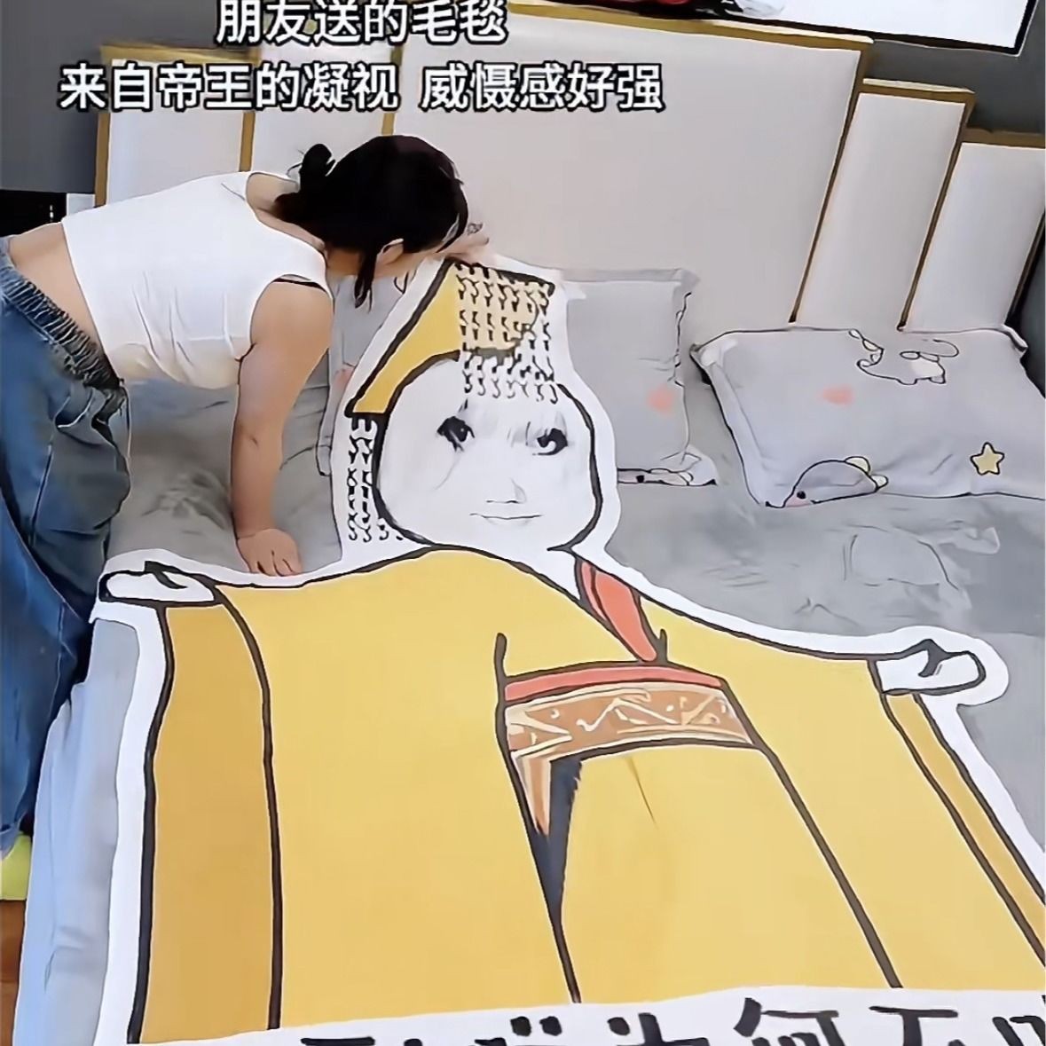 见朕为何不跪龙图毛毯空