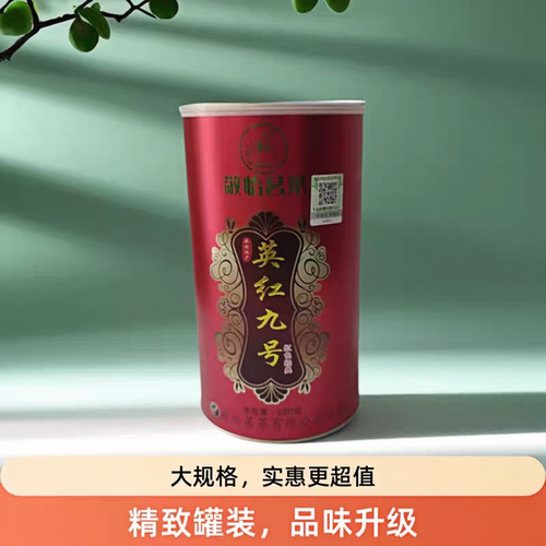 2026新茶英红九号英德红茶200g