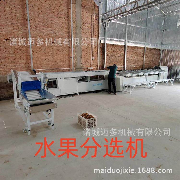 水果分拣机苹果分拣机橙子分拣机