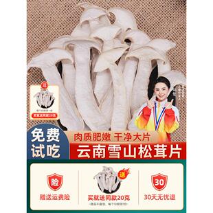 云南茸产特野生蘑菇雪山干VYF松茸片鲜松松茸汤500g