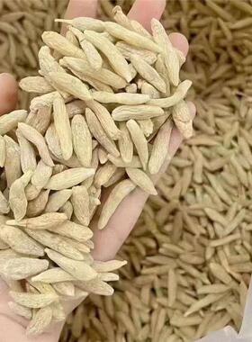 四绵阳麦冬清热败川麦宝宝XKL可以喝花果干麦冬无无花果汤冬补水