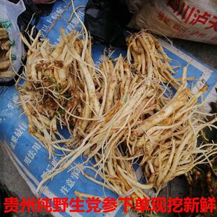 参贵新鲜RDH野生党参浮萍 香浮参州 蔓人 土人参 奶参南人参500参