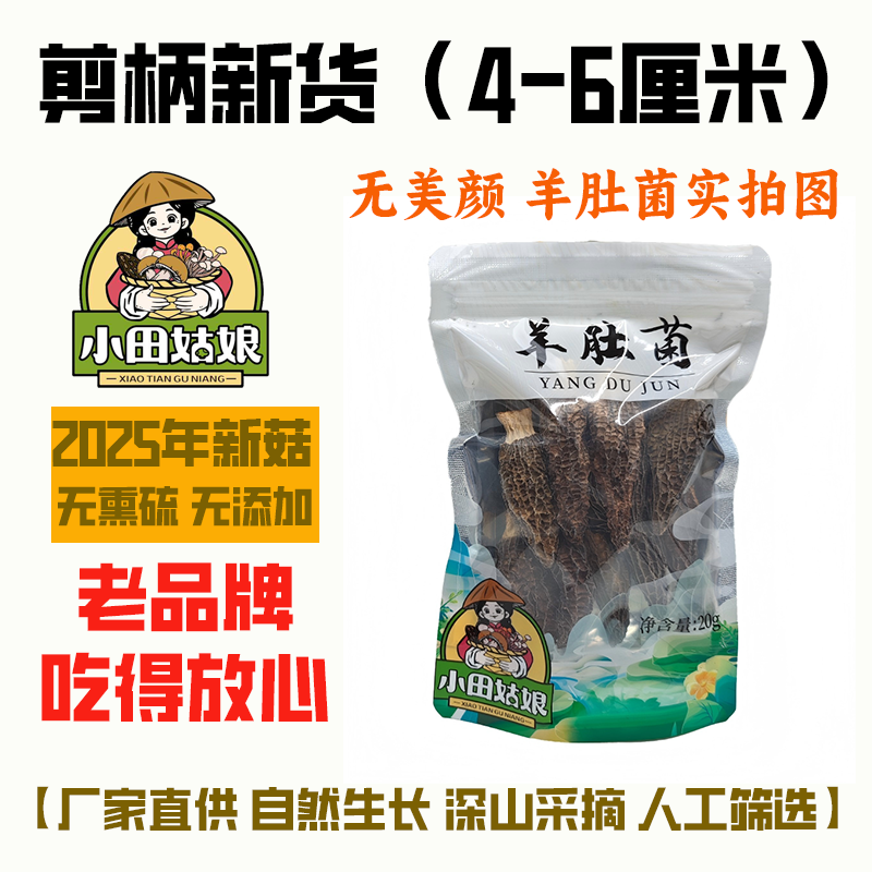头茬羊肚菌4-6公分精品干货