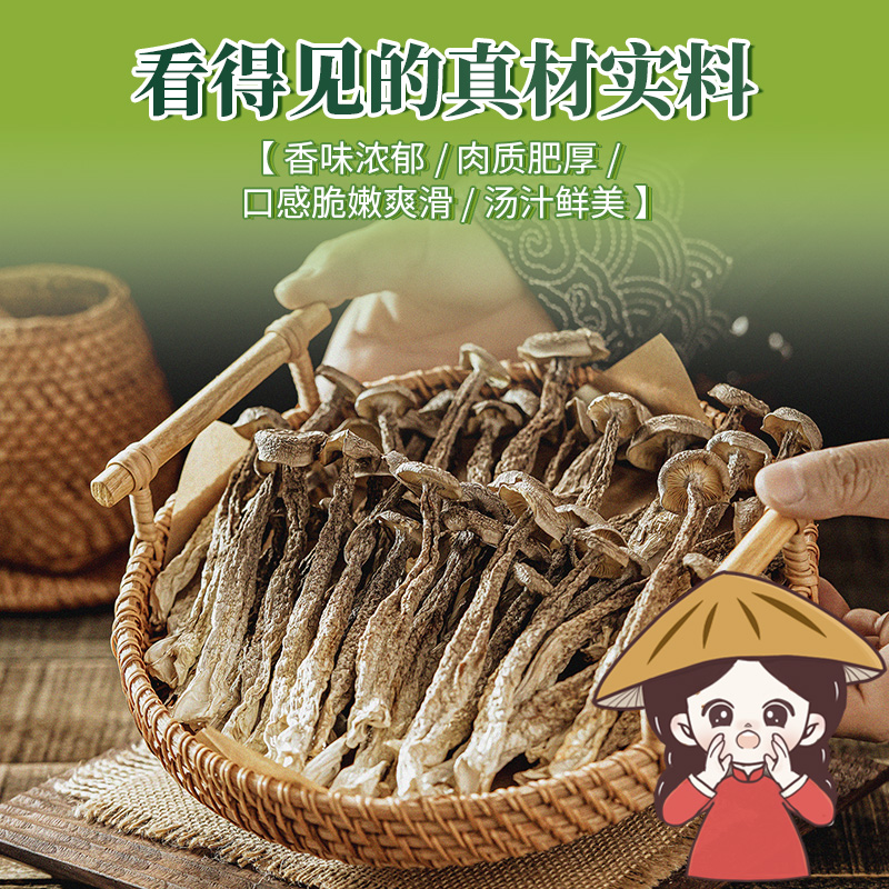 屏南福建鹿茸菇小田姑娘
