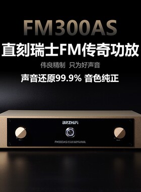 伟良大功率功放机FM300AS发烧hifi甲乙类后级音响直刻瑞士FM线路
