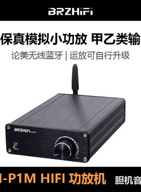 AM-P1M 高保真模拟小功放甲乙类输出 论美HD1969 LM1875 无线蓝牙