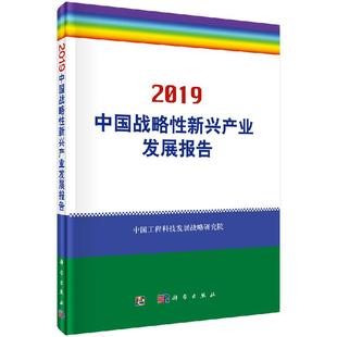 正版 中国战略性新兴产业发展报告2019书籍 书