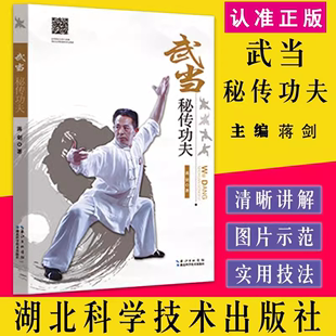 武当秘传功夫 蒋剑 内功心法气功武术功夫书籍内家拳武功秘籍 9787535294081 书 体育健身书籍 湖北科学技术出版 生活休闲 社