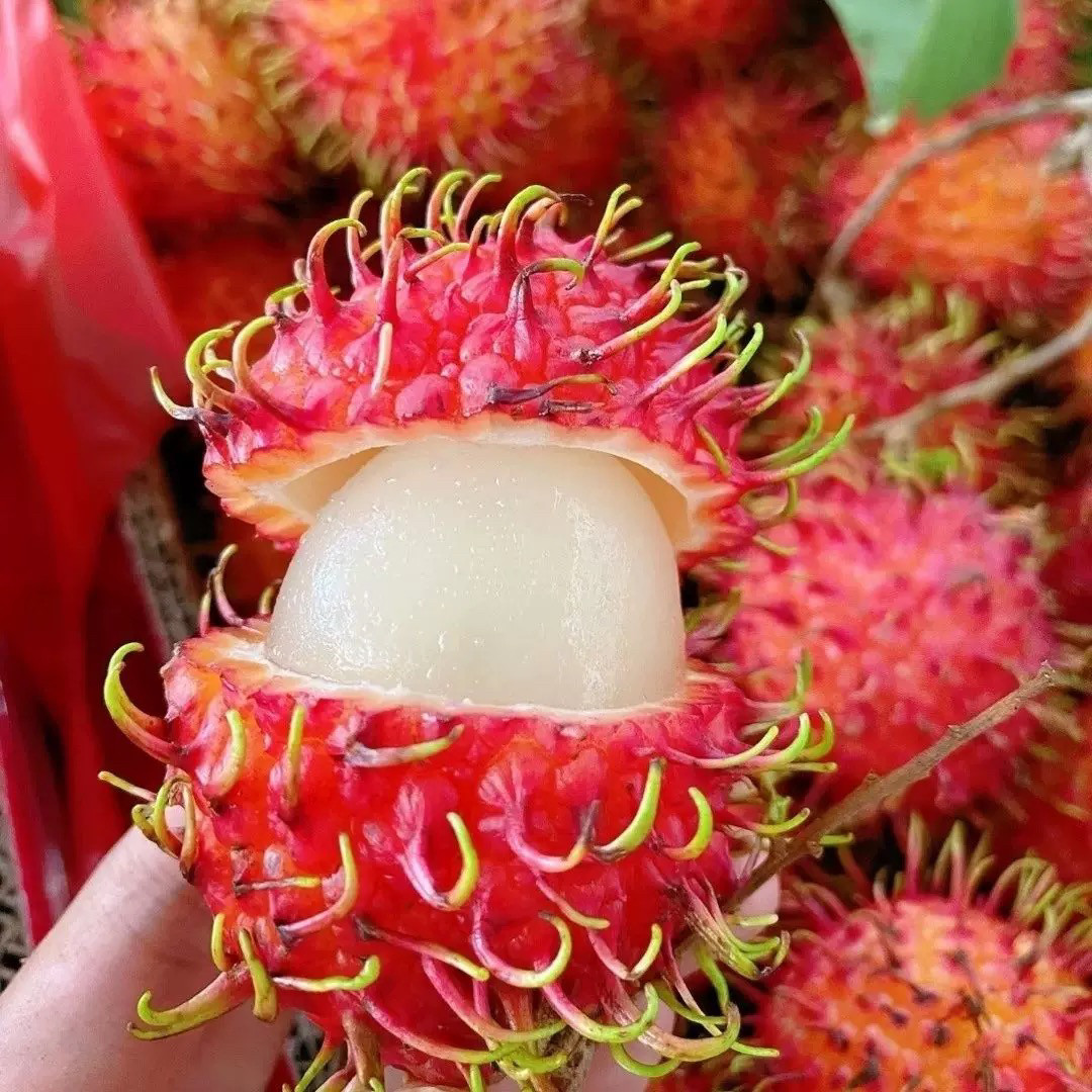 现摘现发红毛丹净5斤整箱现摘新鲜水果包邮毛荔枝孕妇当季水果甜_虎窝淘