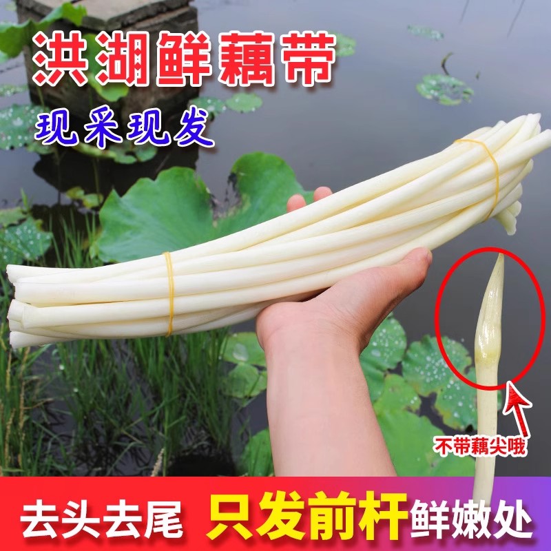 洪湖华贵新鲜藕带现挖当季蔬菜品