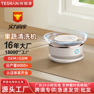 现货果蔬清洗机户外无线便携旋家用食材净化机源工厂直销 跨境新款