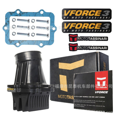 Reed Valve 簧片阀带接口 VFORCE V3127R-873A-2 For 600 E-TEC