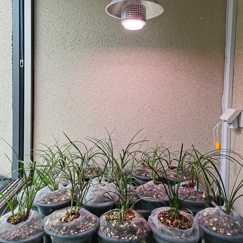 植物补光灯温室大棚花卉盆栽绿植蔬菜瓜果全光谱led植物灯生长灯