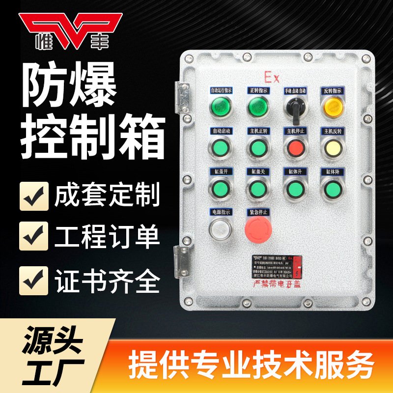 防爆配电箱检修接线箱动力仪表网络机柜柜按钮控制端子盒插座箱厂