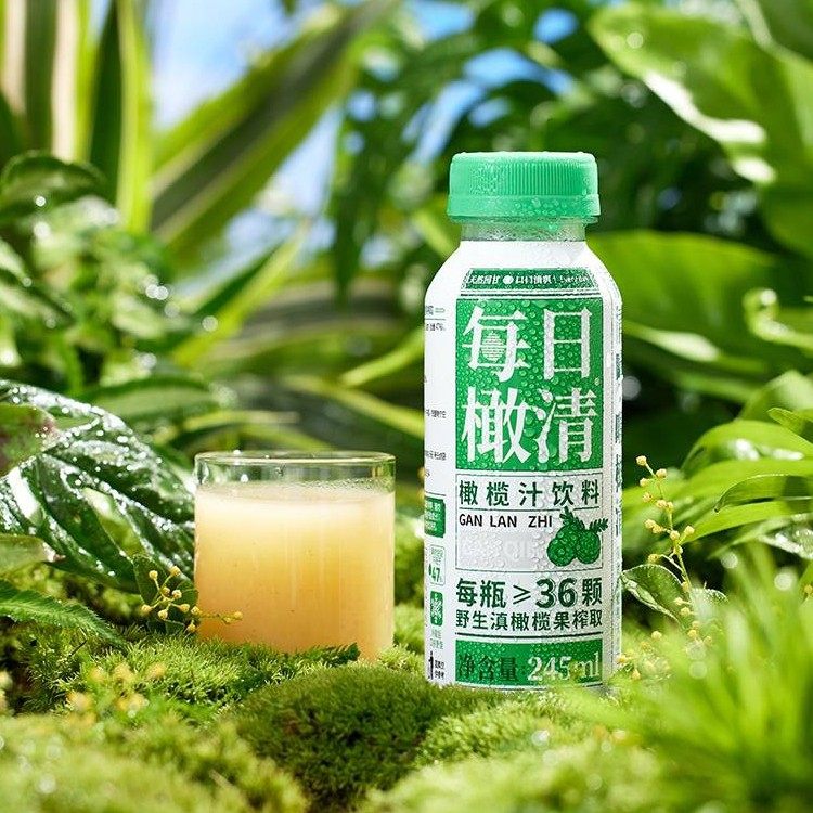 【U先试用】每日橄清滇橄榄汁瓶装饮料余甘子油柑汁饮料245ml*6瓶