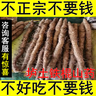 垆土铁棍山药河南焦作温县正宗铁杆淮山怀山药新鲜5斤10斤准铁桂