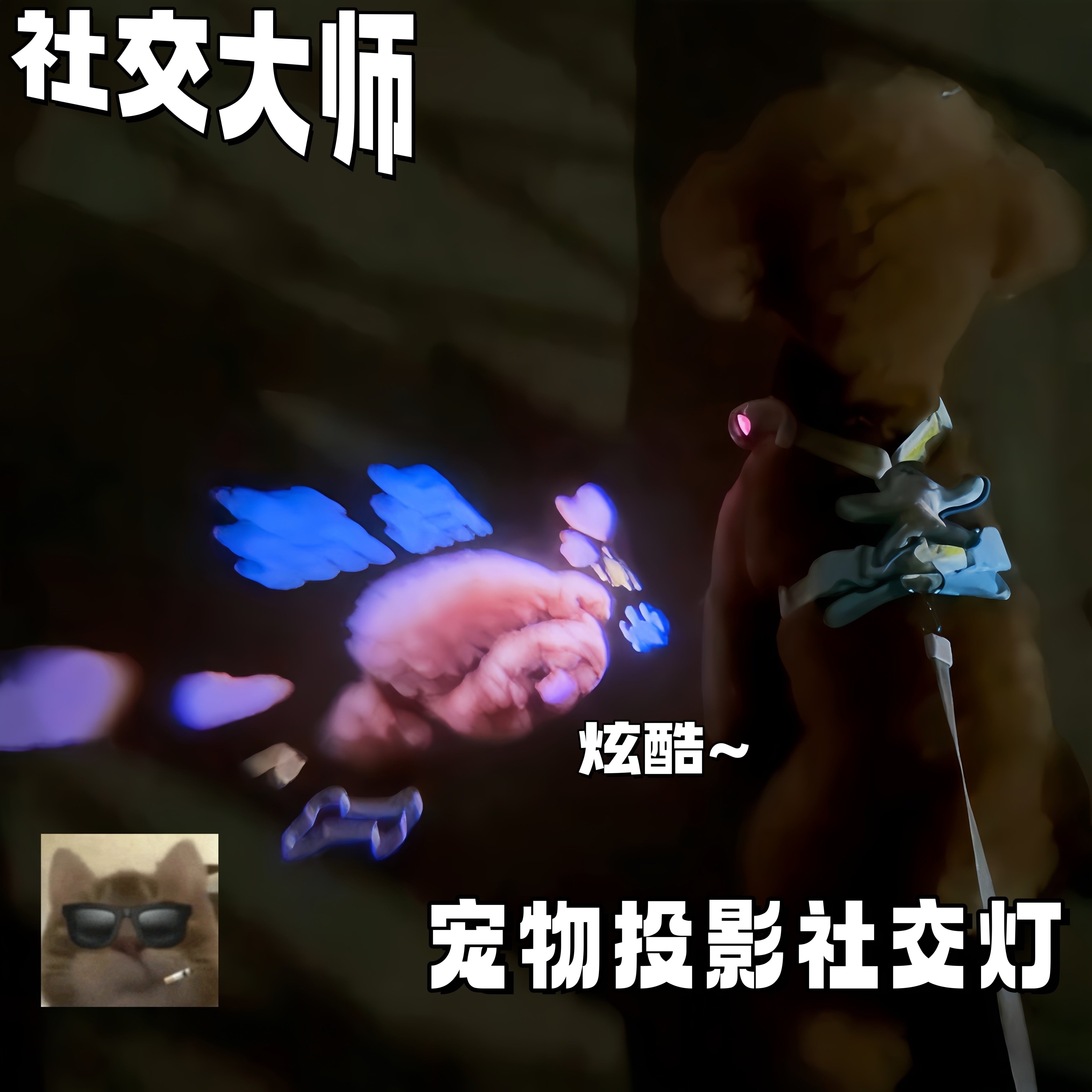 宠物投影照地灯猫狗社交氛围灯