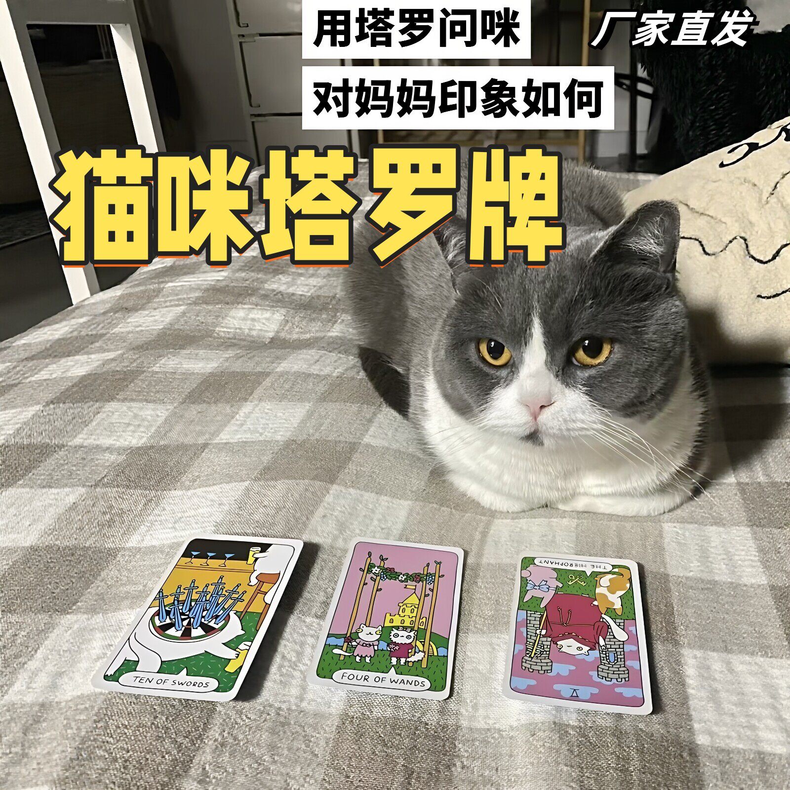趣味易懂猫咪塔罗牌78张