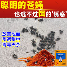 家用强力灭蝇王高效药室外杀乌蝇饵剂特养殖场效苍蝇消灭神器药jq