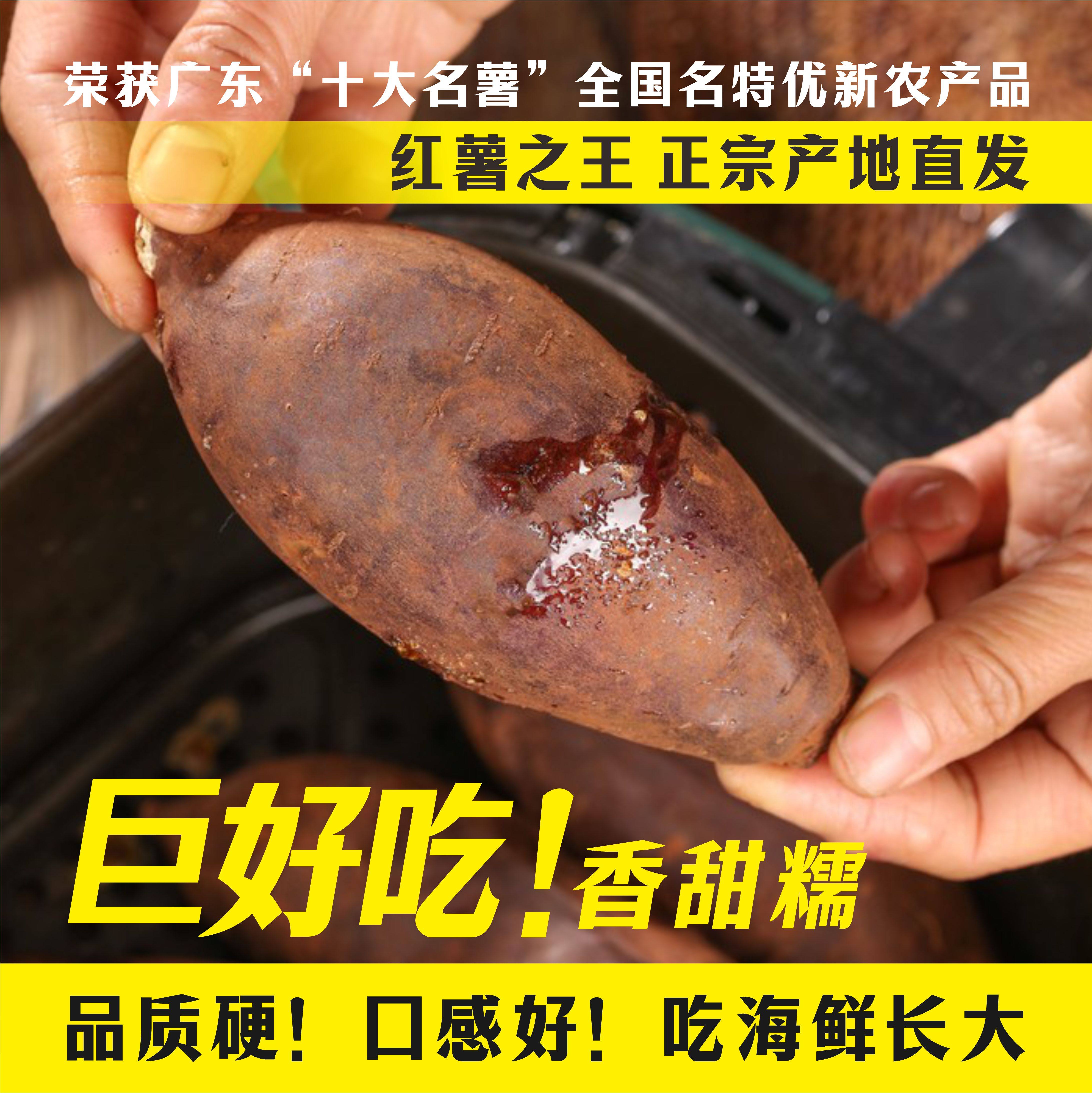 正宗湛江产地超甜火山一号火山番薯红薯榴莲蜜薯现挖地瓜香甜软糯