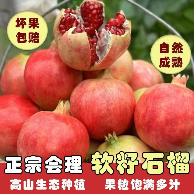 四川会理突尼斯软籽石榴正宗新鲜应当季孕妇水果红宝石榴产地直发