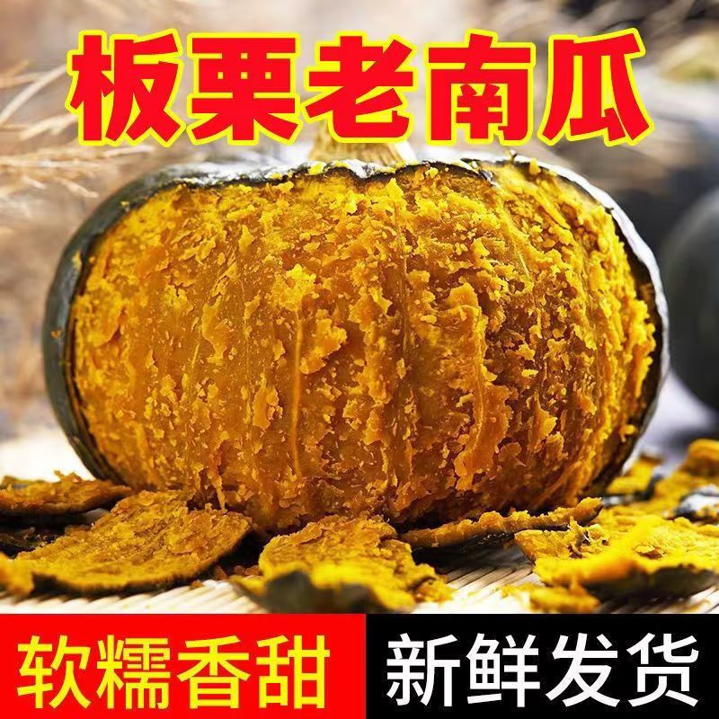 正宗板栗南瓜板栗味老瓜婴儿辅食孕妇粉糯香甜陕西小南瓜栗面