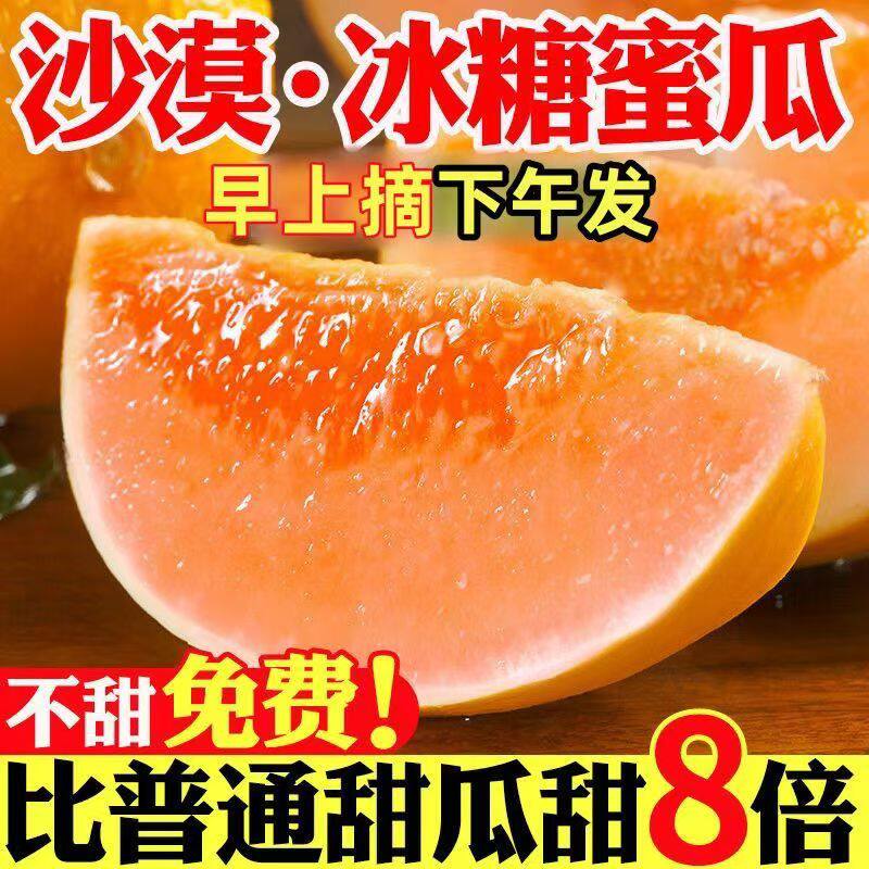 新鲜黄河蜜瓜当季黄金蜜瓜农家自种现摘现发脆甜蜜香瓜哈密瓜整箱