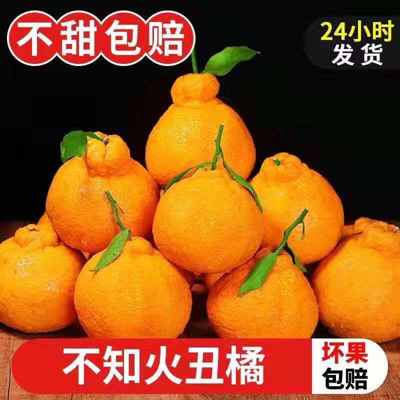 丑橘不知火新鲜水果当季整箱包邮四川眉山丑八怪橘子粑耙5斤柑子