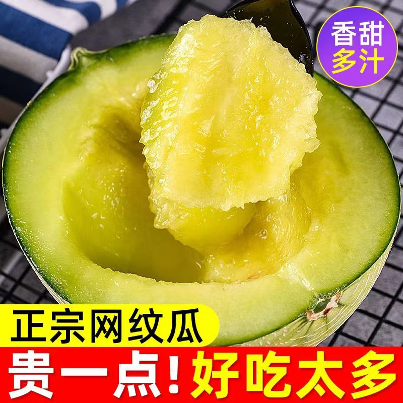 山东玫珑蜜瓜网纹瓜5斤包邮新鲜甜瓜孕妇水果哈密瓜应当季整箱批