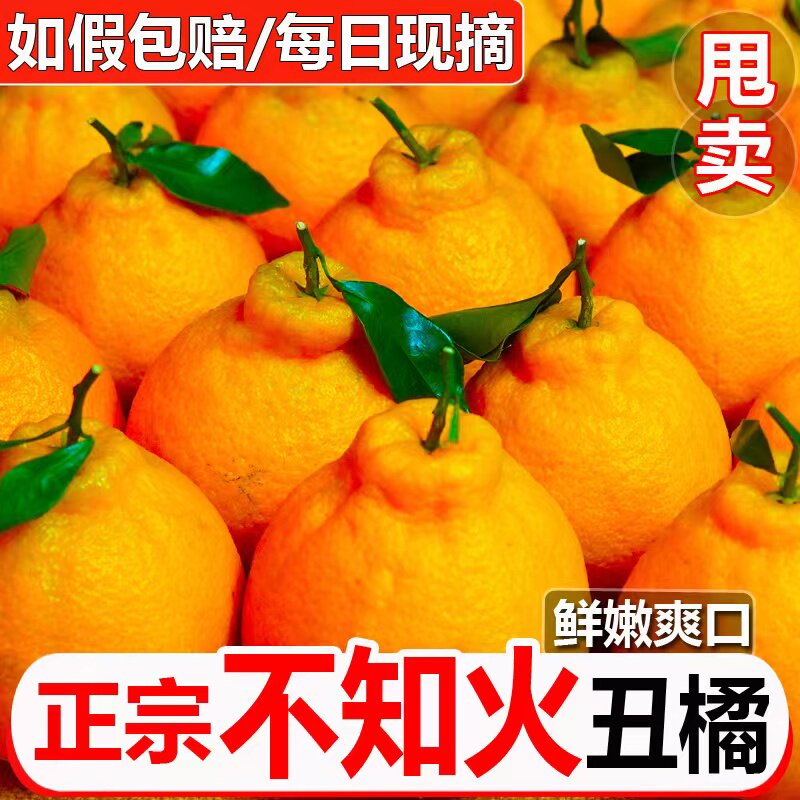 正宗四川不知火丑橘新鲜水果5斤粑粑耙耙丑八怪柑桔橘子整箱包邮