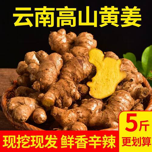 正宗云南小黄姜新鲜罗平生姜老姜农家自种黄姜月子姜干姜非嫩母姜