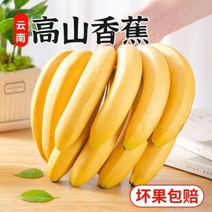包邮 云南高山甜香蕉5斤当季 新鲜水果大芭蕉小米蕉甜蕉皇帝蕉整箱