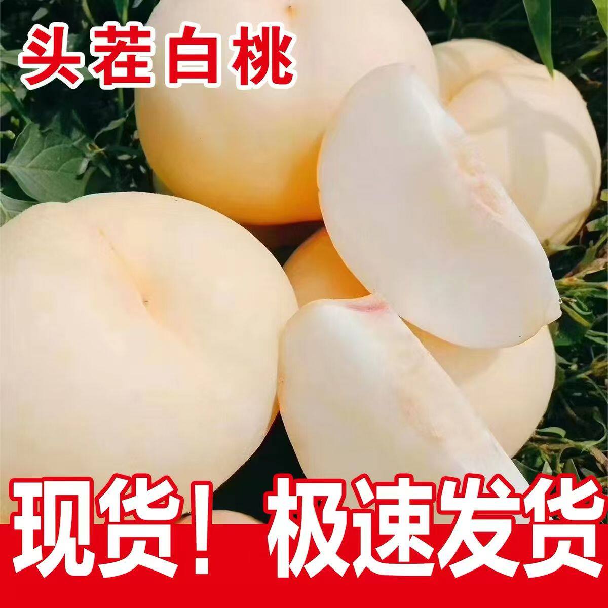 山西奶油大白桃应季新鲜水果脆甜桃子水蜜桃白如玉毛桃5斤包邮