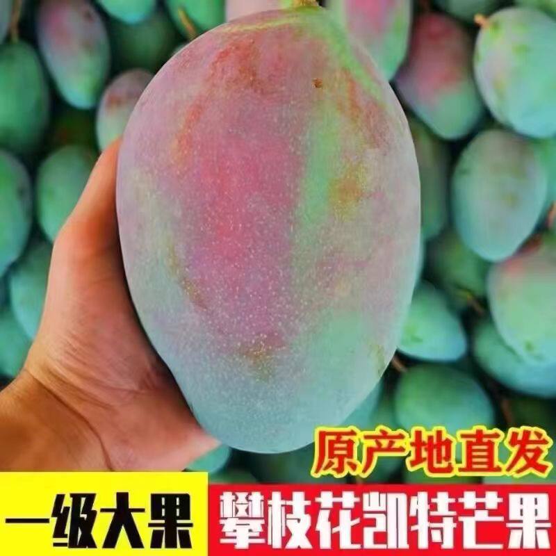 正宗攀枝花凯特大甜芒果新鲜水果当季整箱现摘青皮大芒果产地直发