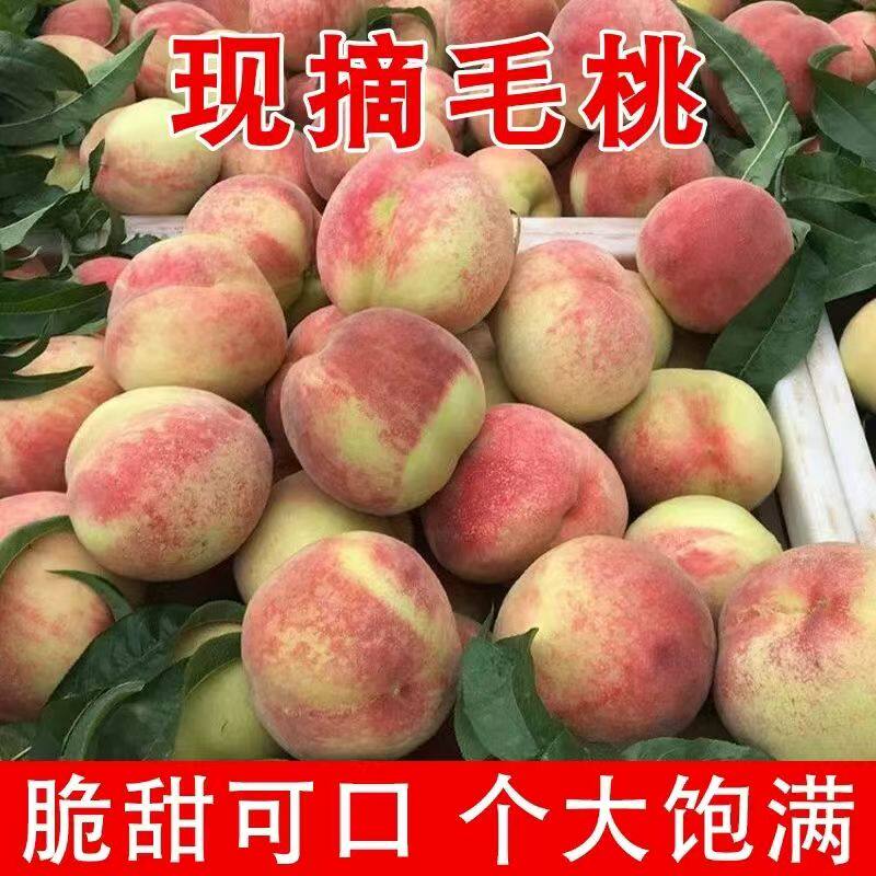 陕西正宗毛桃新鲜水果5斤整箱红心脆桃包邮当季毛桃孕妇水蜜桃
