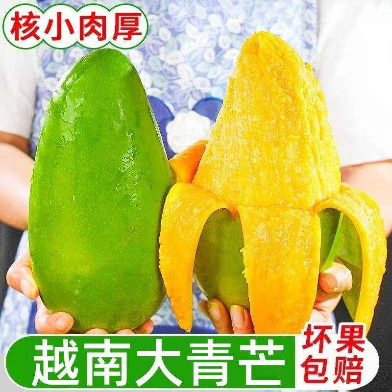 大青芒青皮新鲜水果当季新鲜水果芒果薄皮应季整箱批发孕妇水果