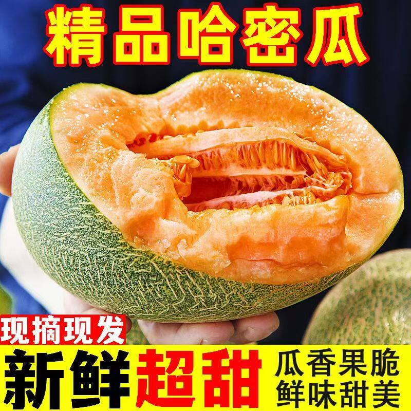 正宗哈密瓜脆甜5斤当季新鲜水果甜一整箱包邮现摘网纹瓜西州蜜