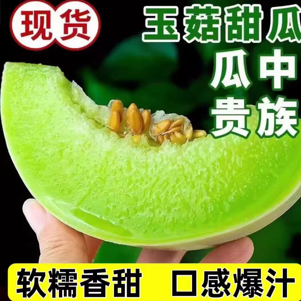 正宗山东玉菇甜瓜软糯香甜新鲜水果清甜当季甜瓜整箱超甜包邮