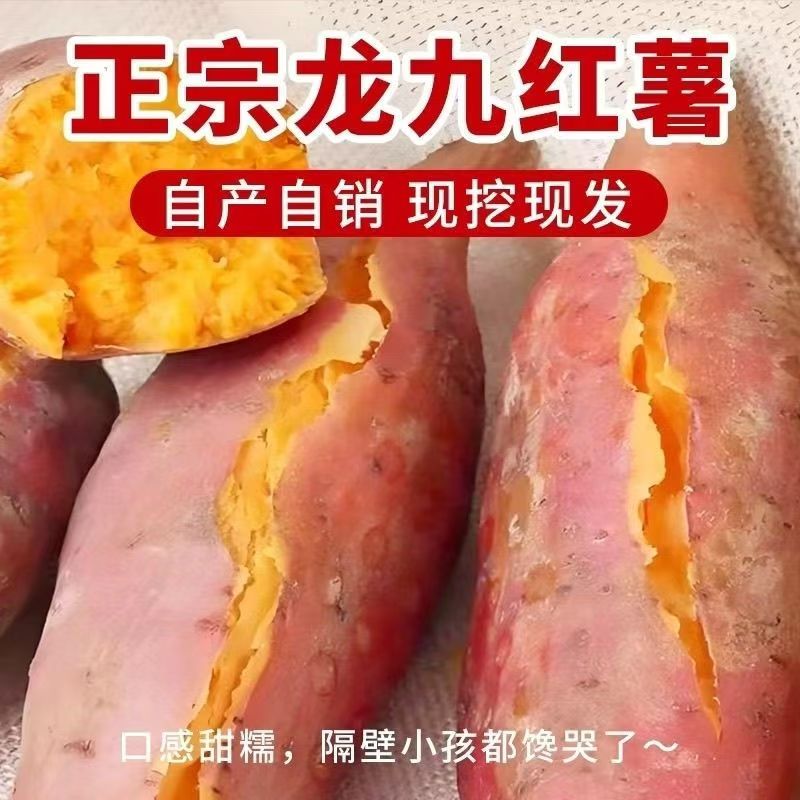红薯当季龙九蜜薯糖心新鲜番薯板栗六鳌沙地地瓜山芋农家自种黄心